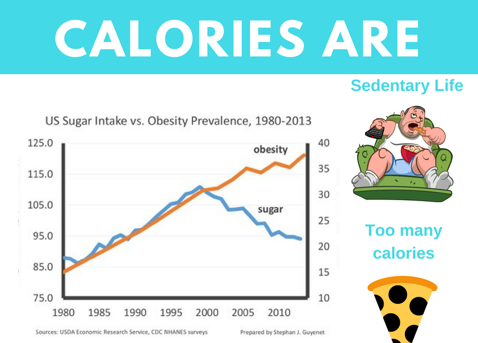 Sugar Is Not To Blame, Too Many Calories Are!