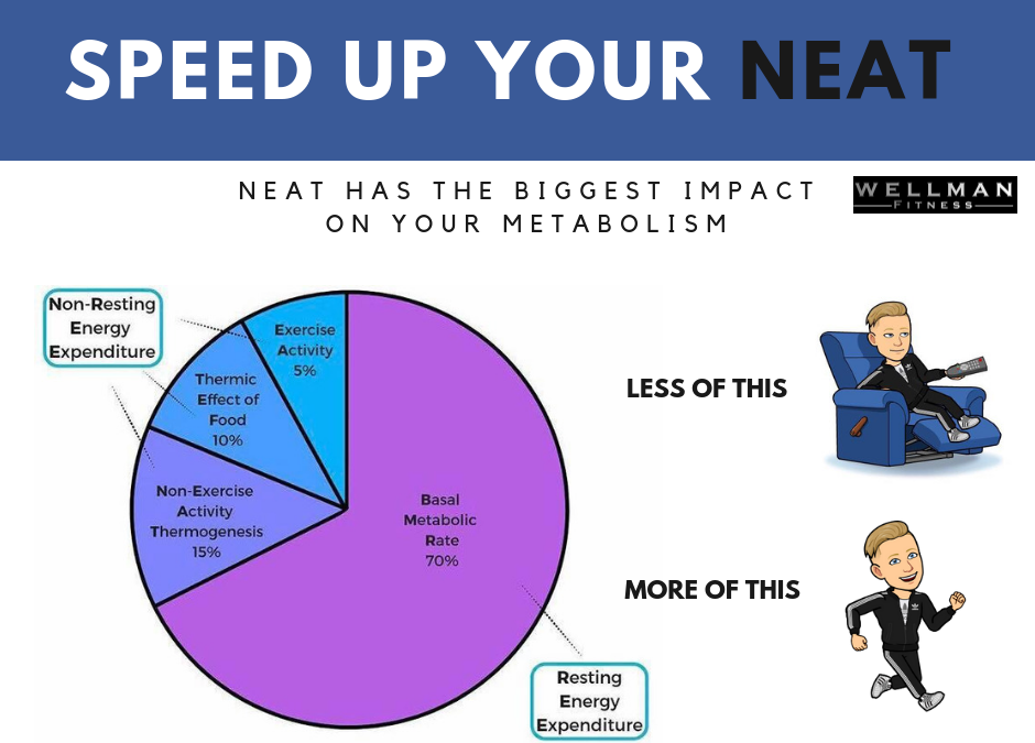 Want To Speed Up Your Metabolism? Speed Up Your NEAT