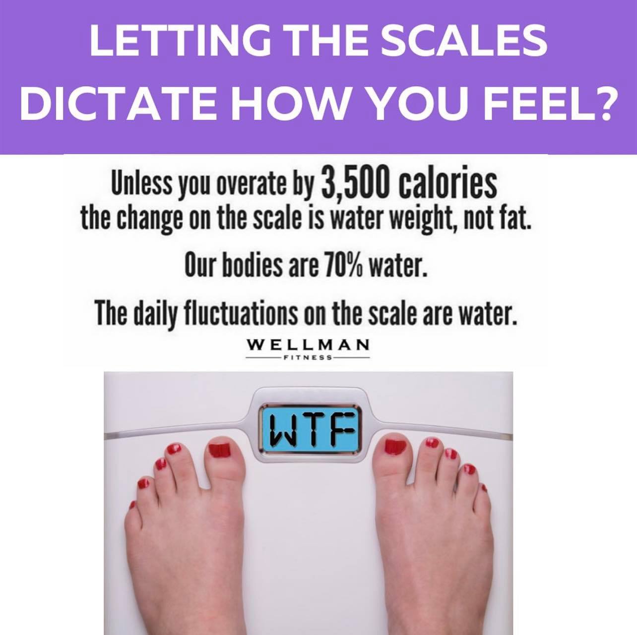 Daily Weight Fluctuation Explained: Why the Scale Changes So Often